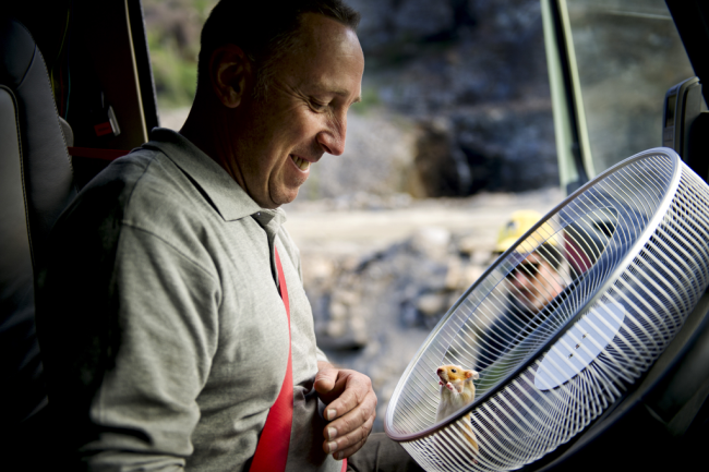 Bir hamster Volvo kamyonu kullanabiliyor