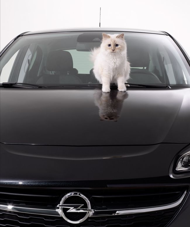 Opel Corsa ve Choupette Karl Lagerfeld için poz verdi