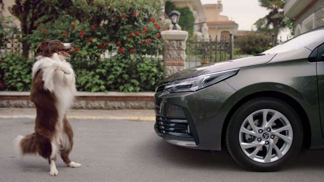 Yenilenen Corolla Hafta Sonunda Teste Hazır