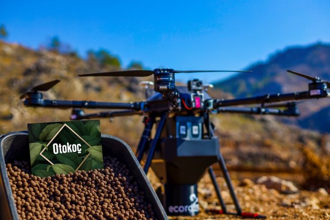 Otokoç, Otokoç 2. El, Ecording İş Birliği Karaçam ve Kızılçam Ormanlarına Hayat Veriyor