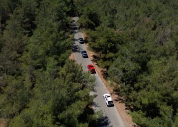 Hyundai, IONIQ Ormanı Projesi ile 1 Milyon Ağaç Dikti